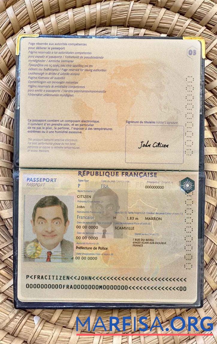 Realistic France passport version 2 photo look example